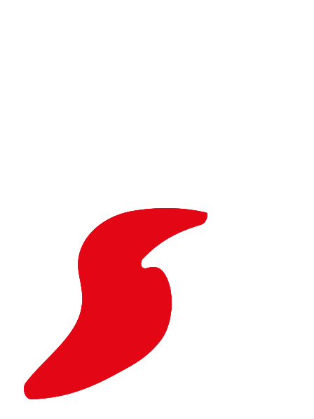 Logo Jamón y Salud Tienda